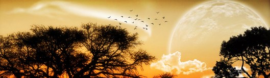 unique-moon-birds-fantasy-abstract-website-header